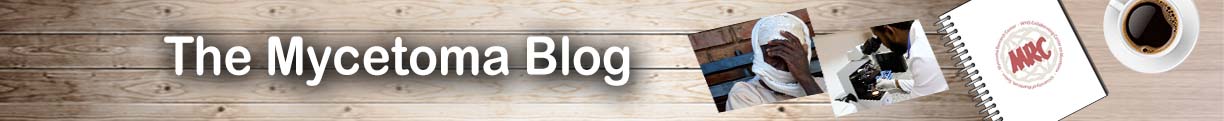 Mycetoma Blog