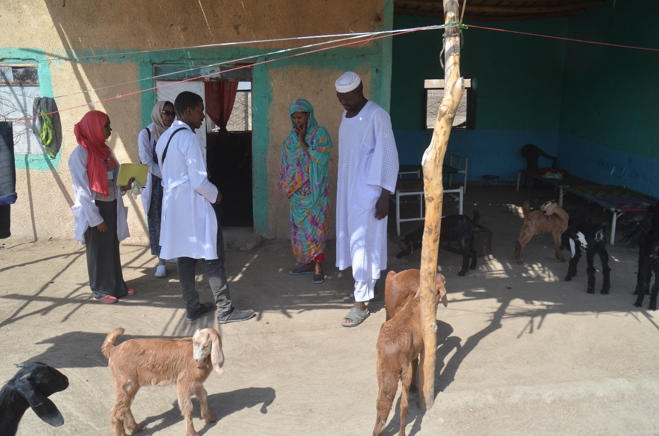 House-to-house field survey for early case detection and management at an endemic village in White Nile State