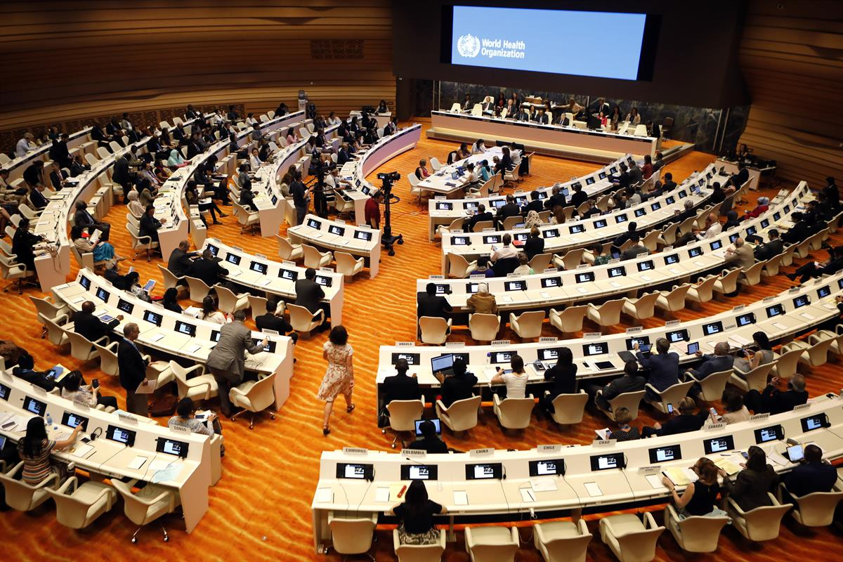 The World Health Assembly added mycetoma to the official list ofNeglected Tropical Diseases (NTDs) in May 2016